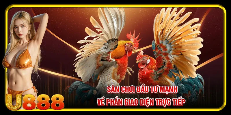 Sân chơi đá gà U888 đầu tư mạnh về phần giao diện trực tiếp 